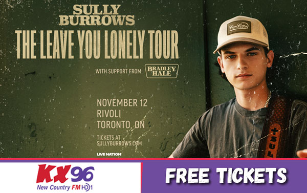 Artist of the Year - Sully Burrows @ The Rivoli